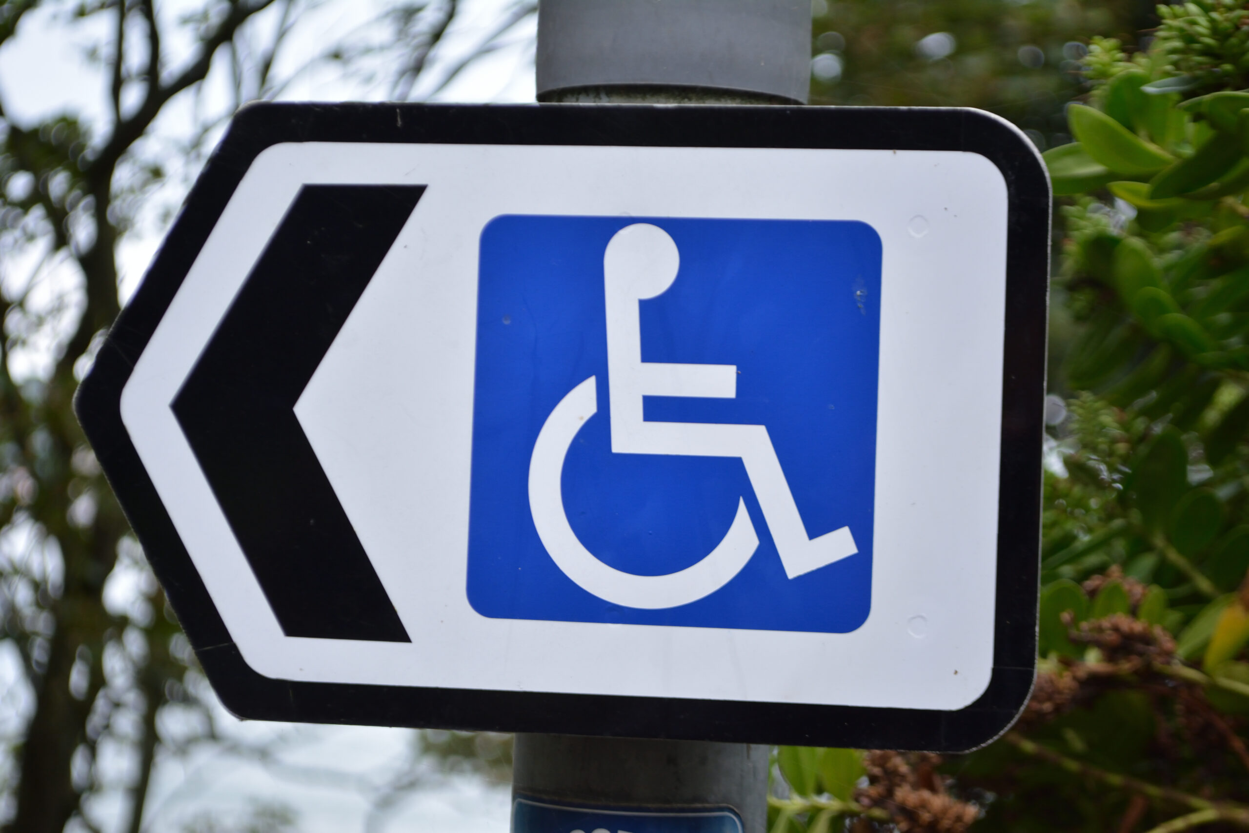 Disabled,Street,Sign,With,Direction,,Wheelchair,Users